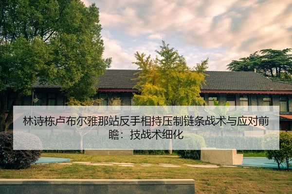 lin-shi-dong-lu-bu-er-ya-na-zhan-fan-shou-xiang-chi-ya-zhi-lian-tiao-zhan-shu-yu-ying-dui-qian-zhan-ji-zhan-shu-xi-hua-2-822.jpg